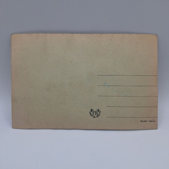 Vintage PR Bonne Année Embroidered Postcard Cottage Pinecones Embossed Frame Fra - Picture 3 of 8